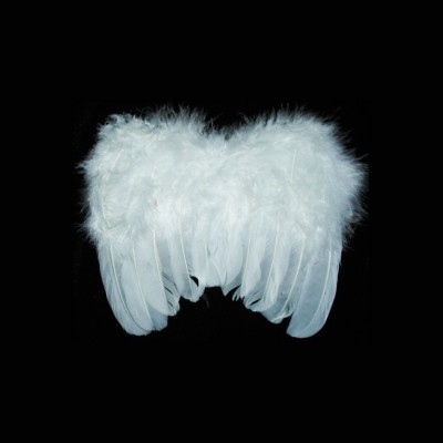 Asas de Anjo Bebé