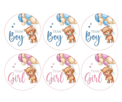 Autocolantes Team Girl or Team Boy Ø6cm - 6 und