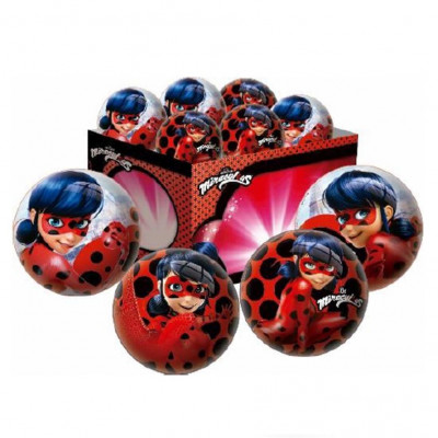 Bola Ladybug Sortida 15cm