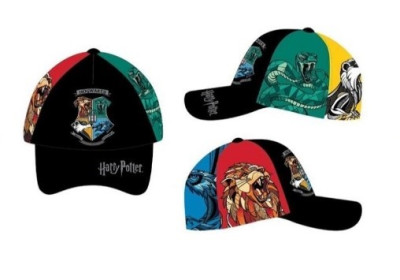 Boné Harry Potter Hogwarts Houses