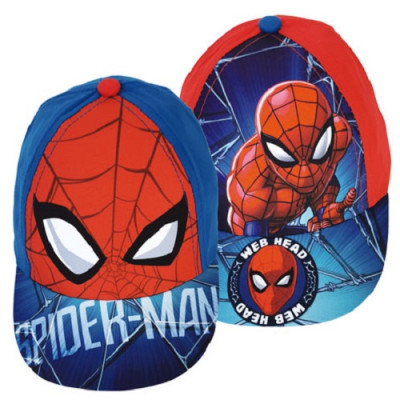 Boné Spiderman Web Head Sortido