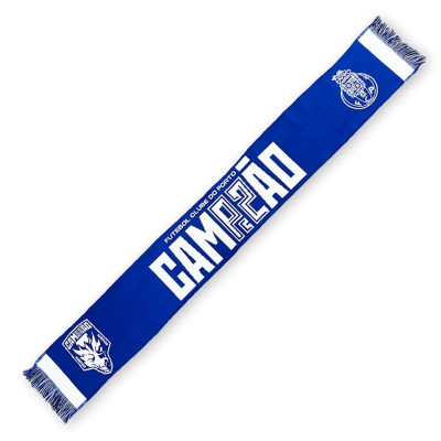 Cachecol Campeão F. C. Porto