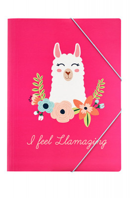 Capa A4 Elásticos Blog Lama
