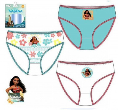 Conjunto 3 Cuecas Vaiana Disney