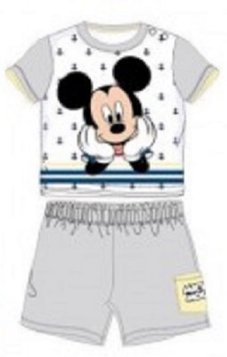 Conjunto Praia Mickey Cinza