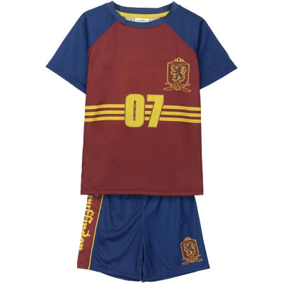 Conjunto Verão Harry Potter Gryffindor