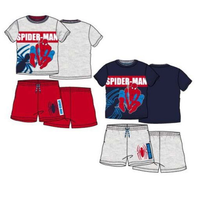 Conjunto Verão Spiderman Sortido