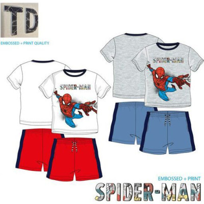Conjunto Verão Spiderman Web Sortido