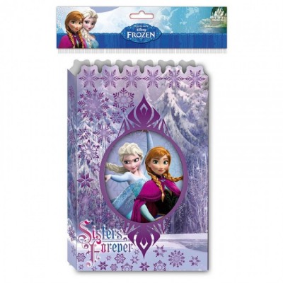 Diario c/ caixa Frozen Ice