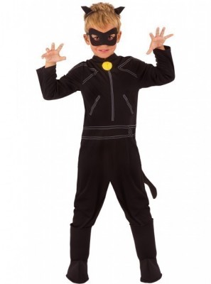 Fato Carnaval Cat Noir  - LadyBug
