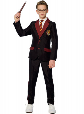 Fato Harry Potter Opposuits