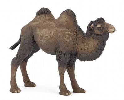Figura Camelo Bactriano Papo