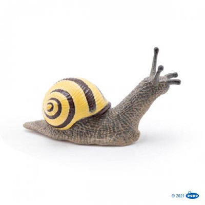 Figura Caracol Raiado Papo