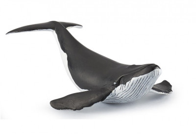 Figura Cria de Baleia Papo