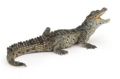 Figura Crocodilo Bebé Papo