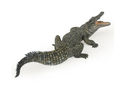 Figura Crocodilo do Nilo Papo