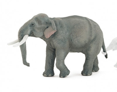 Figura Elefante Asiático Papo