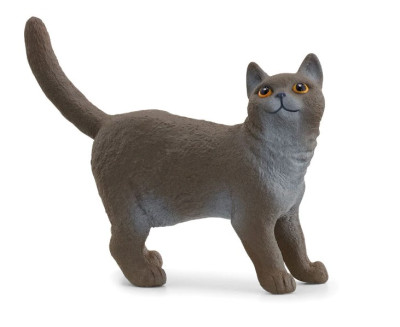 Figura Gato Shortair Britânico Schleich