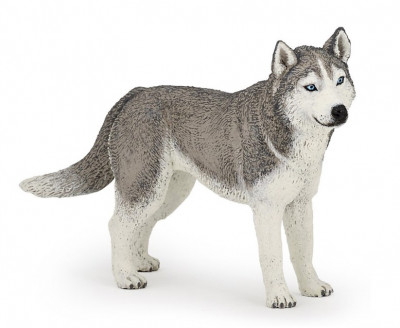Figura Husky Siberiano Papo