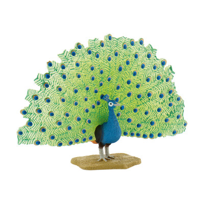 Figura Pavão