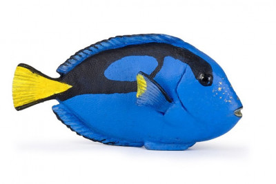 Figura Peixe Cirurgião Papo