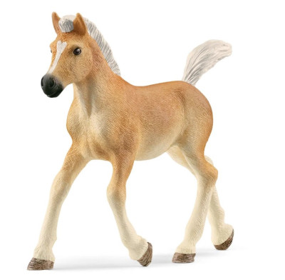 Figura Potro Haflinger Schleich