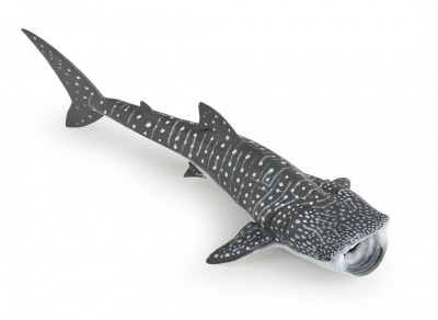Figura Tubarão Baleia Papo