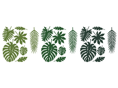 Folhas Verdes Tropicais Aloha Havai