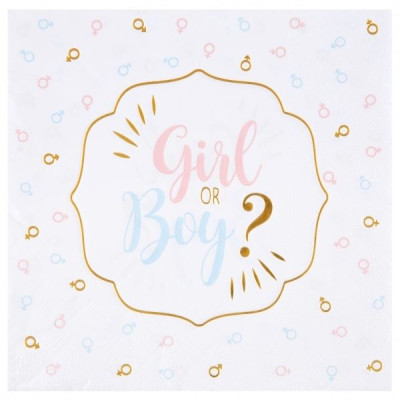 Guardanapos Baby Shower Girl or Boy Revelação