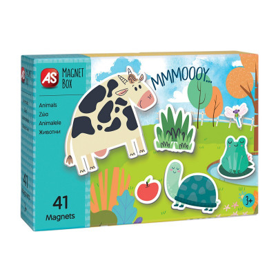 Jogo Magnet Box - Quinta