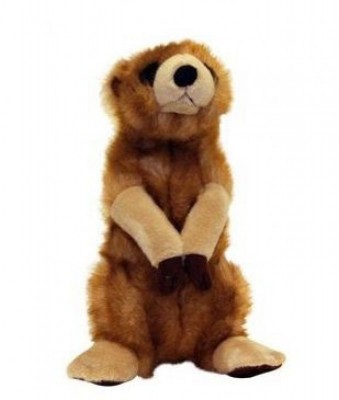 Peluche Suricata