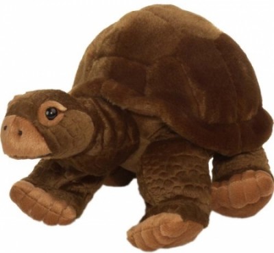 Peluche Tartaruga dos Galápagos