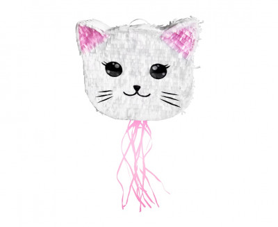 Pinhata Cara Gato