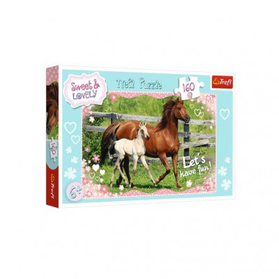 Puzzle Cavalos Sweet and Lovely 160 peças