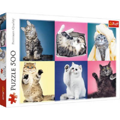 Puzzle Gatinhos Divertidos 500 Peças