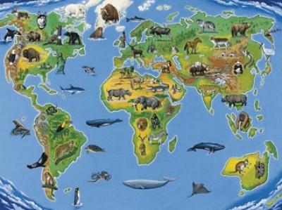 Puzzle Mapa Mundo 200pcs