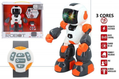 Robot Radio Control Sortido