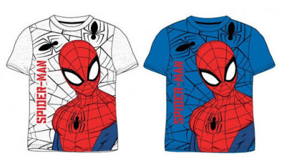 T-Shirt Spiderman Teia Sortida
