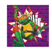 20 Guardanapos Tartarugas Ninja Turtle Power