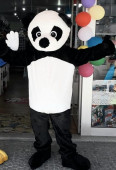 Aluguer mascote panda