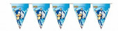 Bandeirolas Festa Sonic