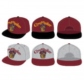Boné Hip Hop Harry Potter Gryffindor Sortido