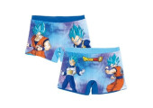 Calção Banho Boxer Dragon Ball Power Sortido