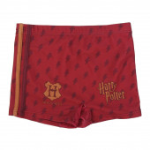 Calção Banho Boxer Harry Potter Hogwarts