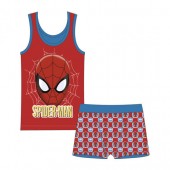 Conjunto roupa interior de Spiderman