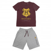 Conjunto Verão Harry Potter Hogwarts