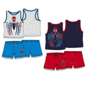 Conjunto Verão Spiderman Great Power Sortido