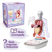 Corpo Humano Interactivo