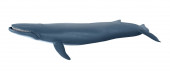 Figura Baleia Azul Papo