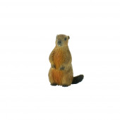 Figura Marmota